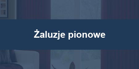 zaluzje-pionowe.jpg